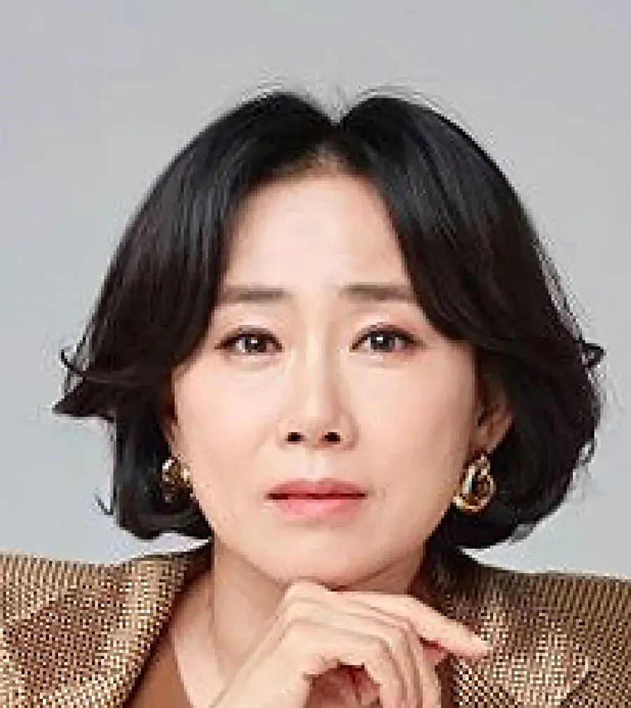 بیوگرافی Kim Mi Ran