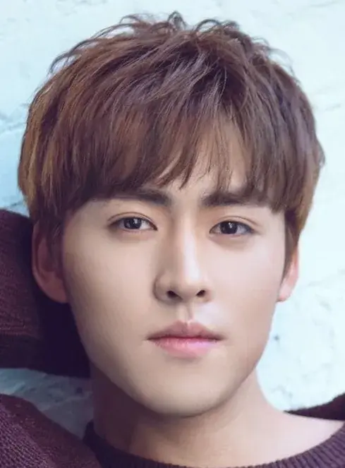 بیوگرافی Gong Zheng