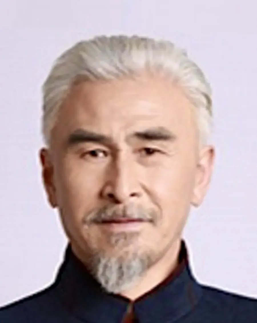بیوگرافی Li Ping Feng