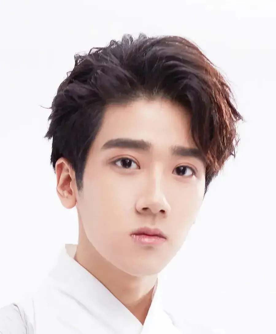 بیوگرافی Li Ming Jun