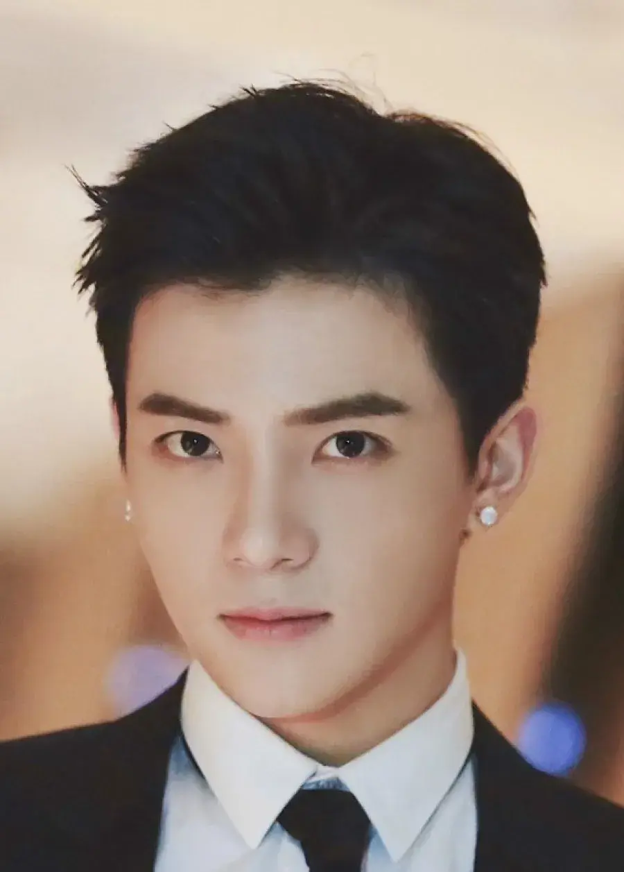 بیوگرافی Wu Jun Yu