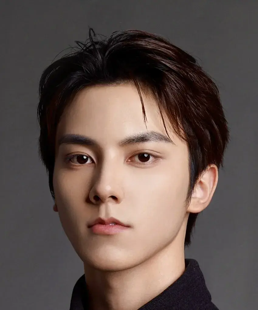 بیوگرافی Zuo Lin Jie