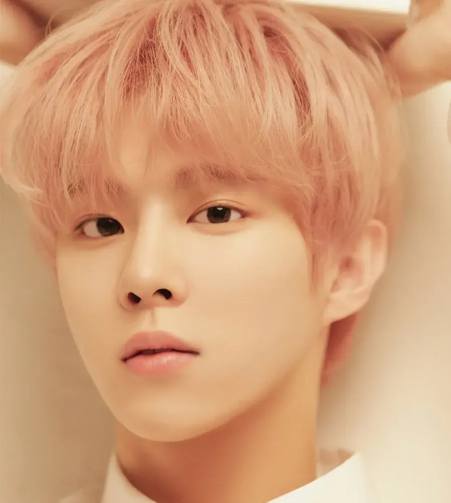 بیوگرافی Kim Woo Seok