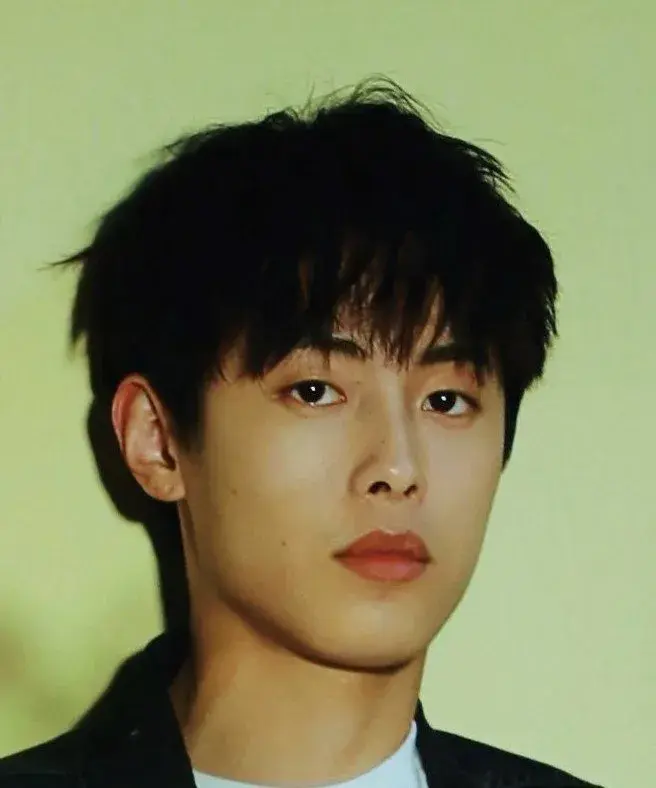 بیوگرافی Dong Zi Fan