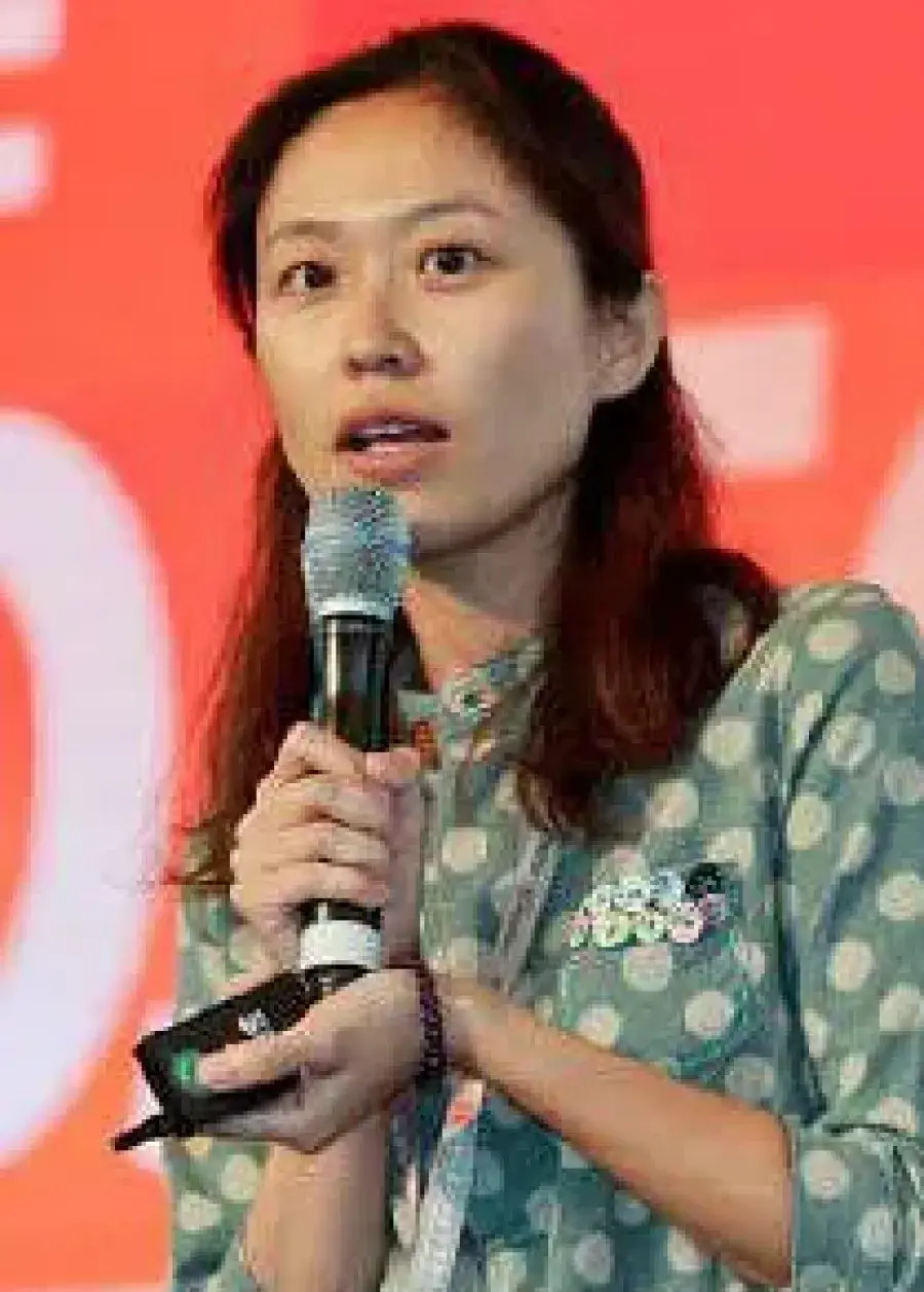 بیوگرافی Ding Pei