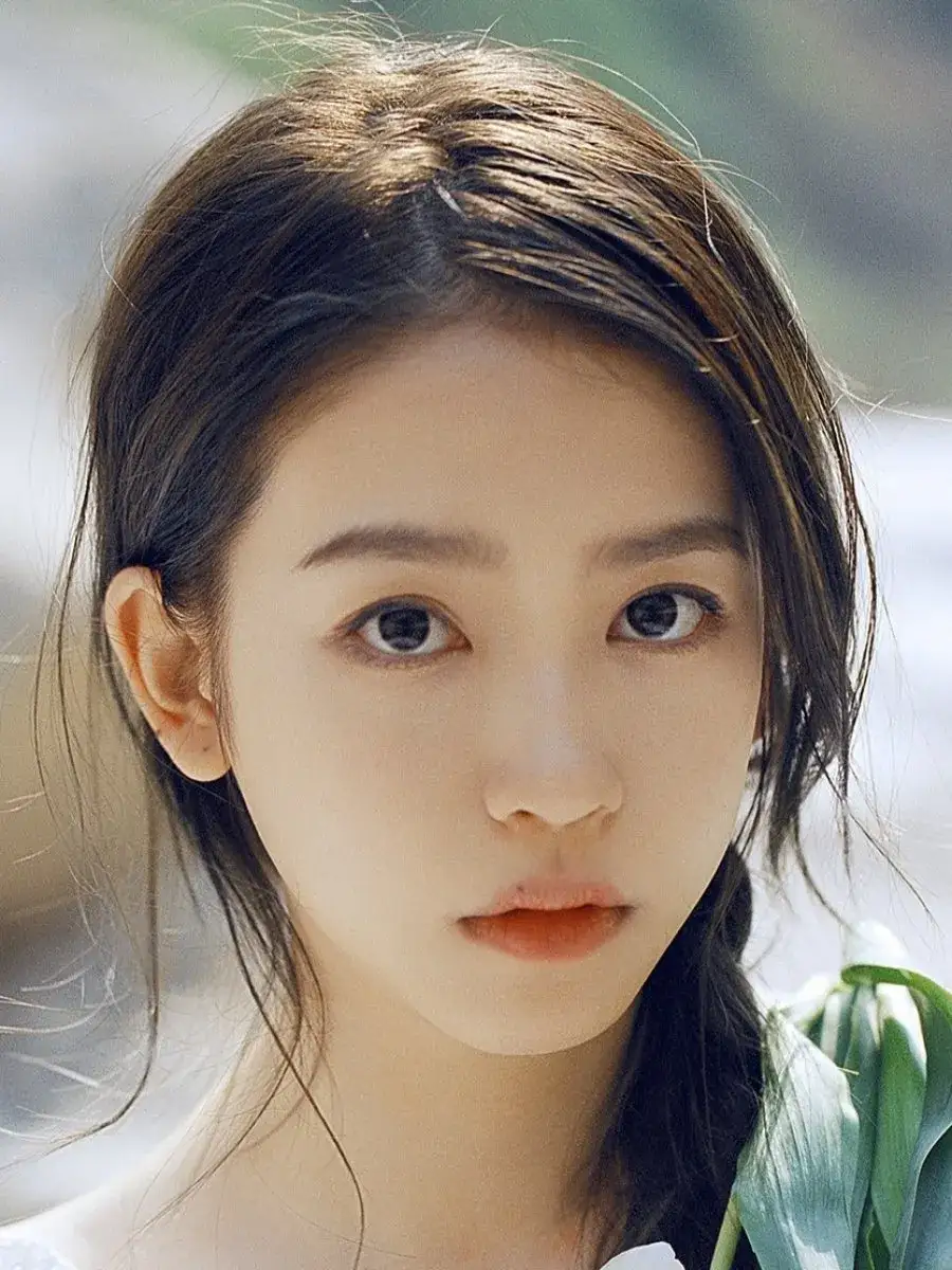 بیوگرافی Meng Rui Liu