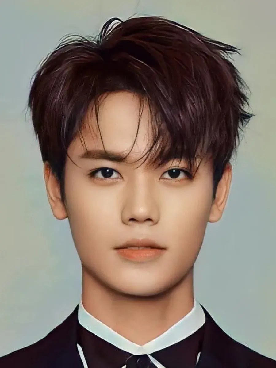 بیوگرافی Lin Yan Jun