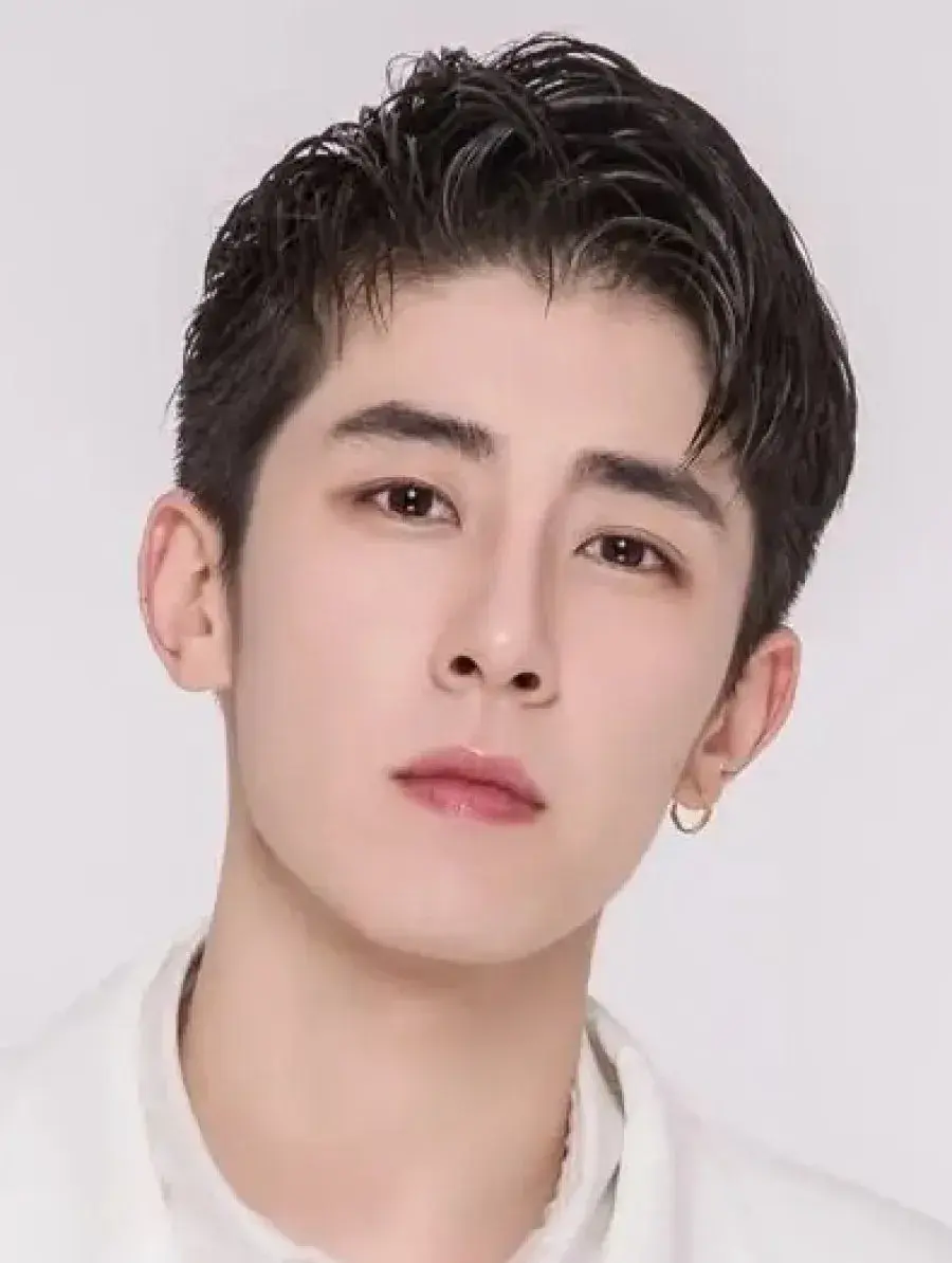 بیوگرافی Lin Feng Song