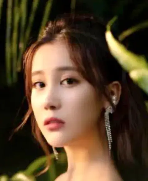 بیوگرافی Zhang Yi Ying