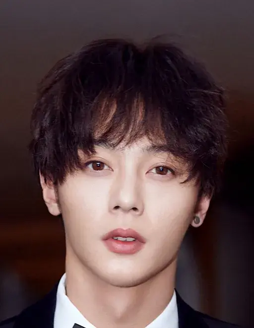 بیوگرافی Li Jun Chen