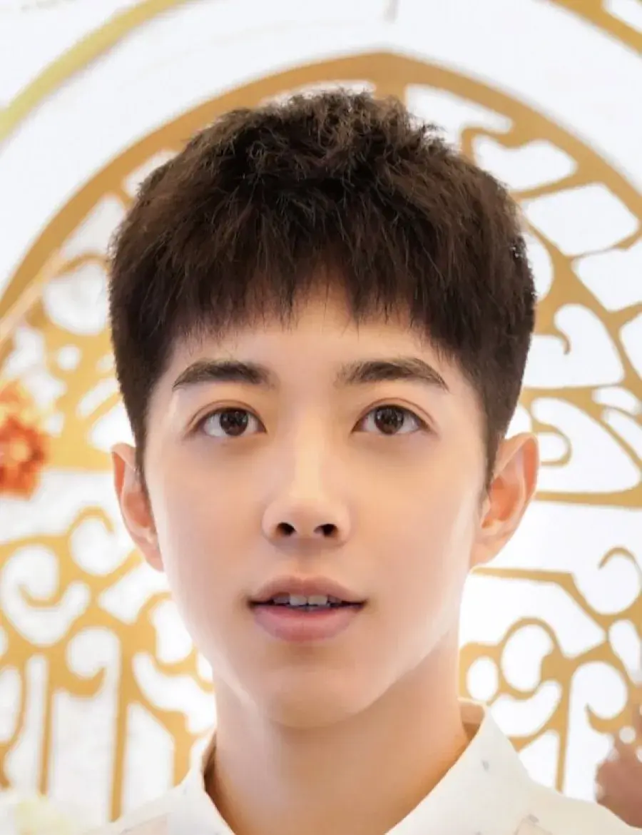 بیوگرافی Zhu Jun Lin