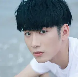 بیوگرافی Feng Lin Hu