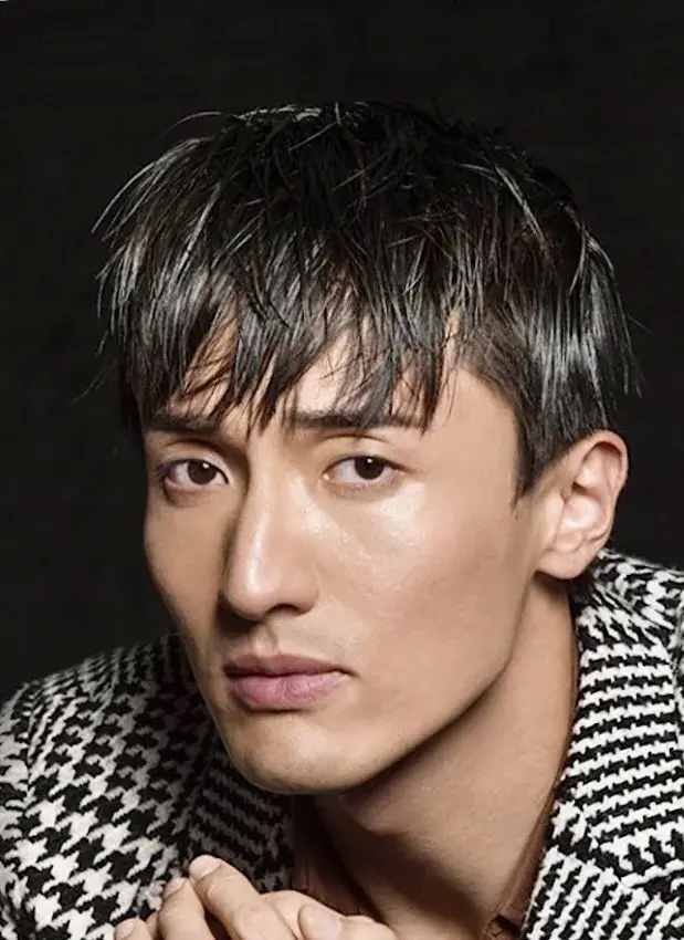 بیوگرافی Wang Chuan Jun