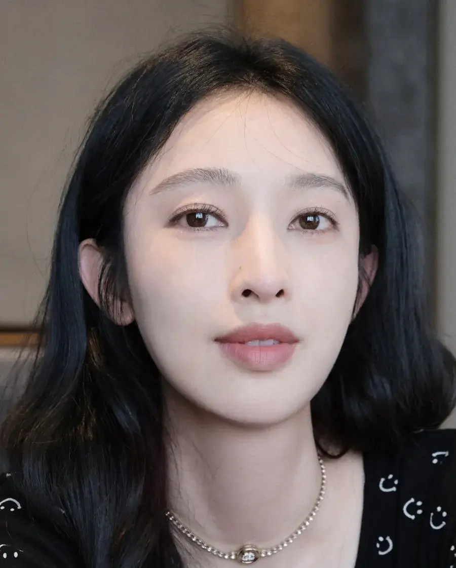 بیوگرافی Zhang Li