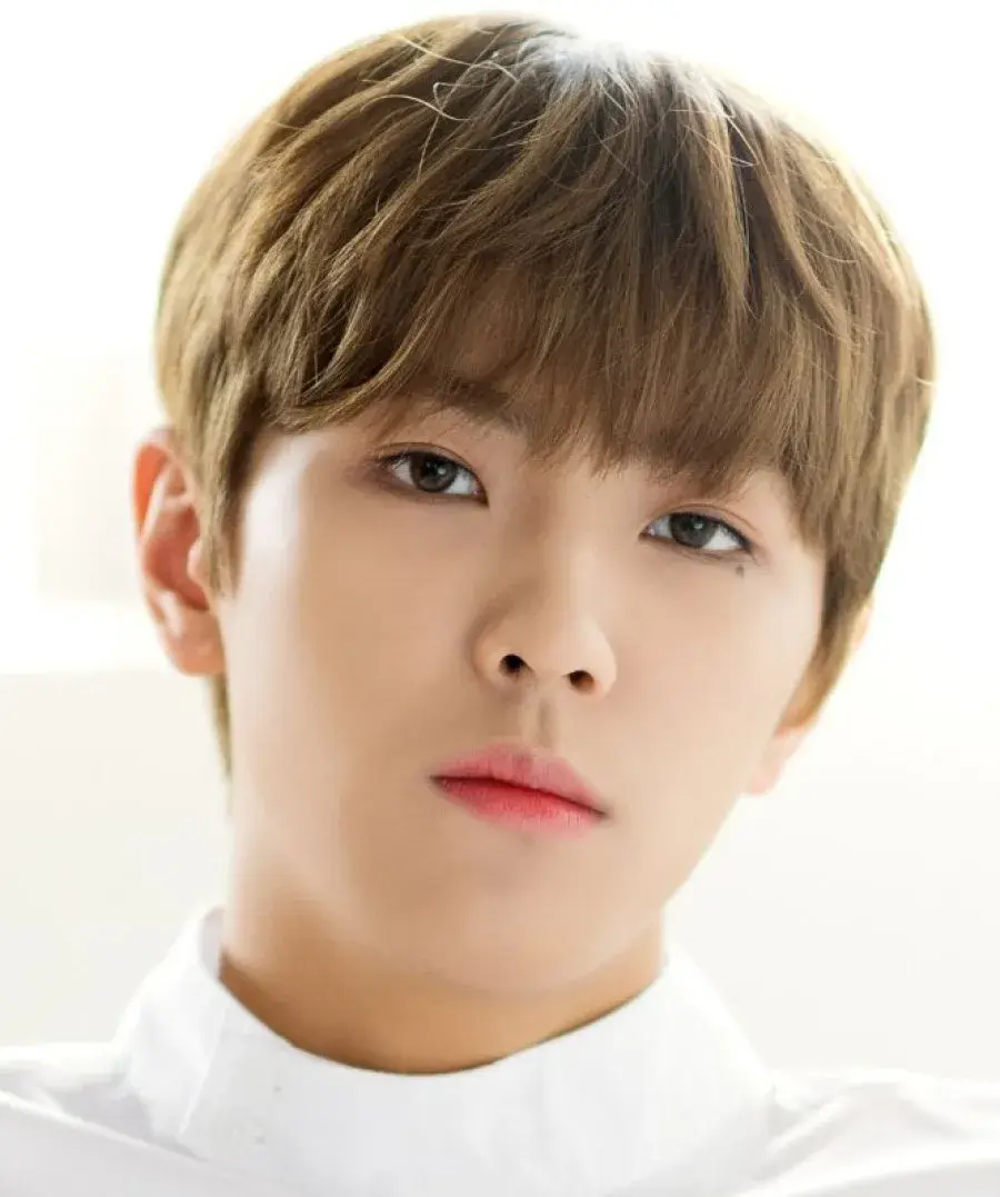 بیوگرافی Kim Yong Hee