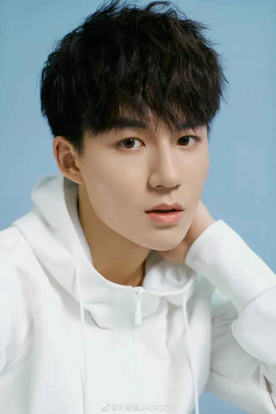 بیوگرافی Zhang Meng