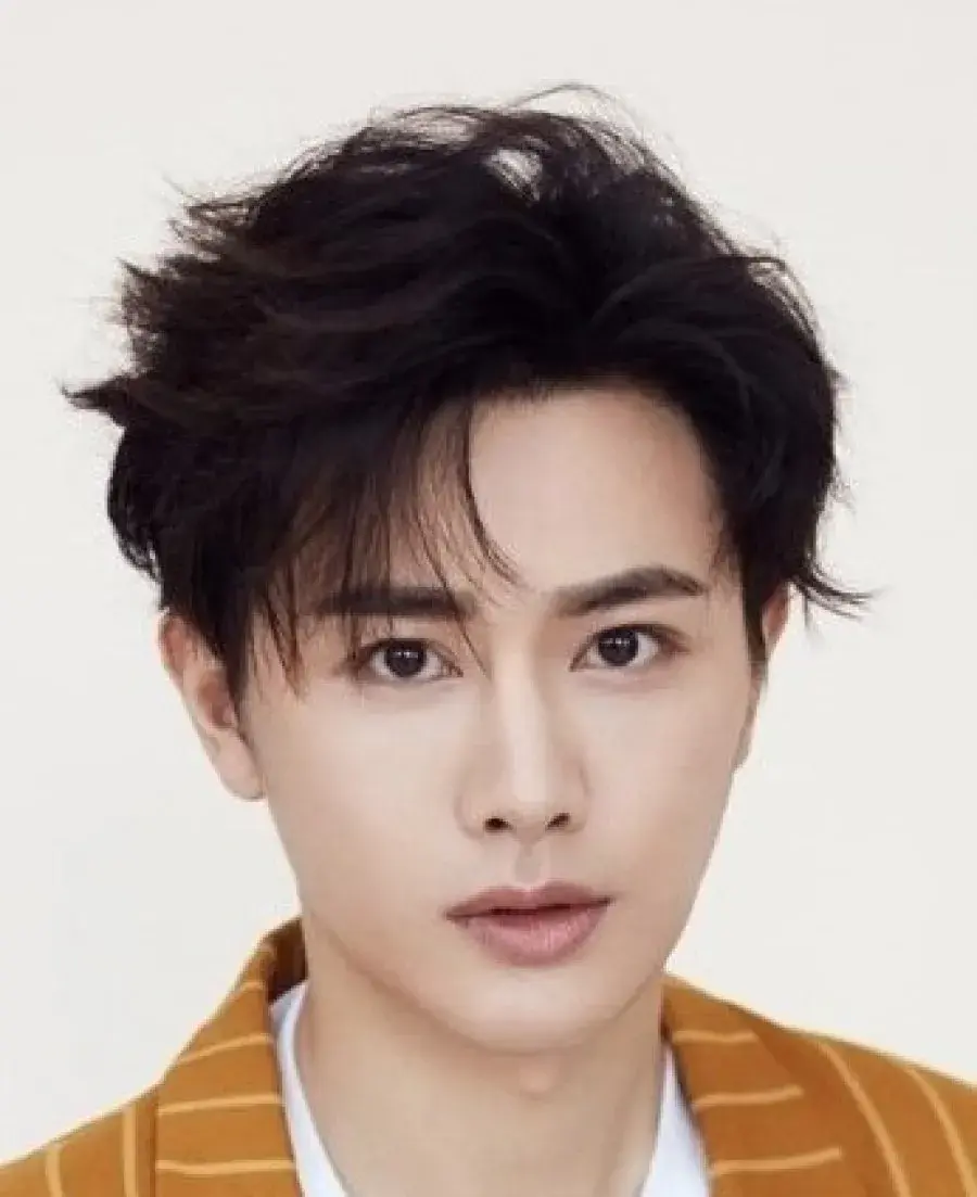 بیوگرافی Wang You Shuo