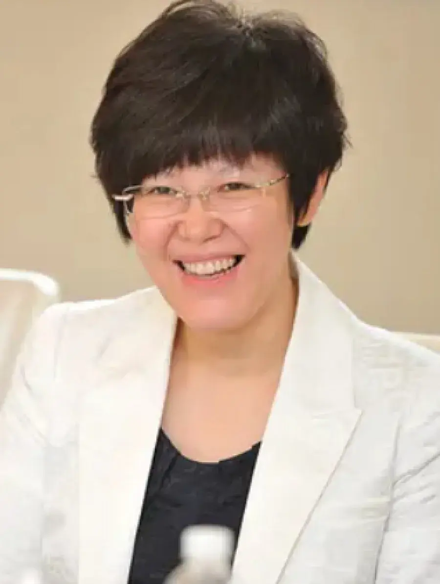 بیوگرافی  Gao Xuan