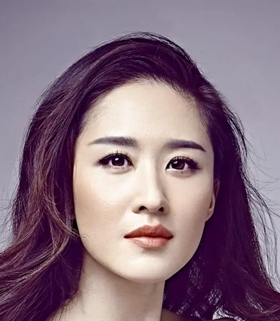 بیوگرافی Zhang  Wen