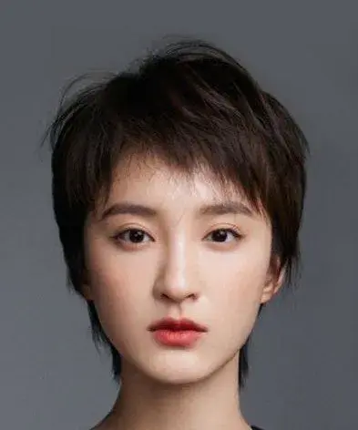 بیوگرافی Xie Xin