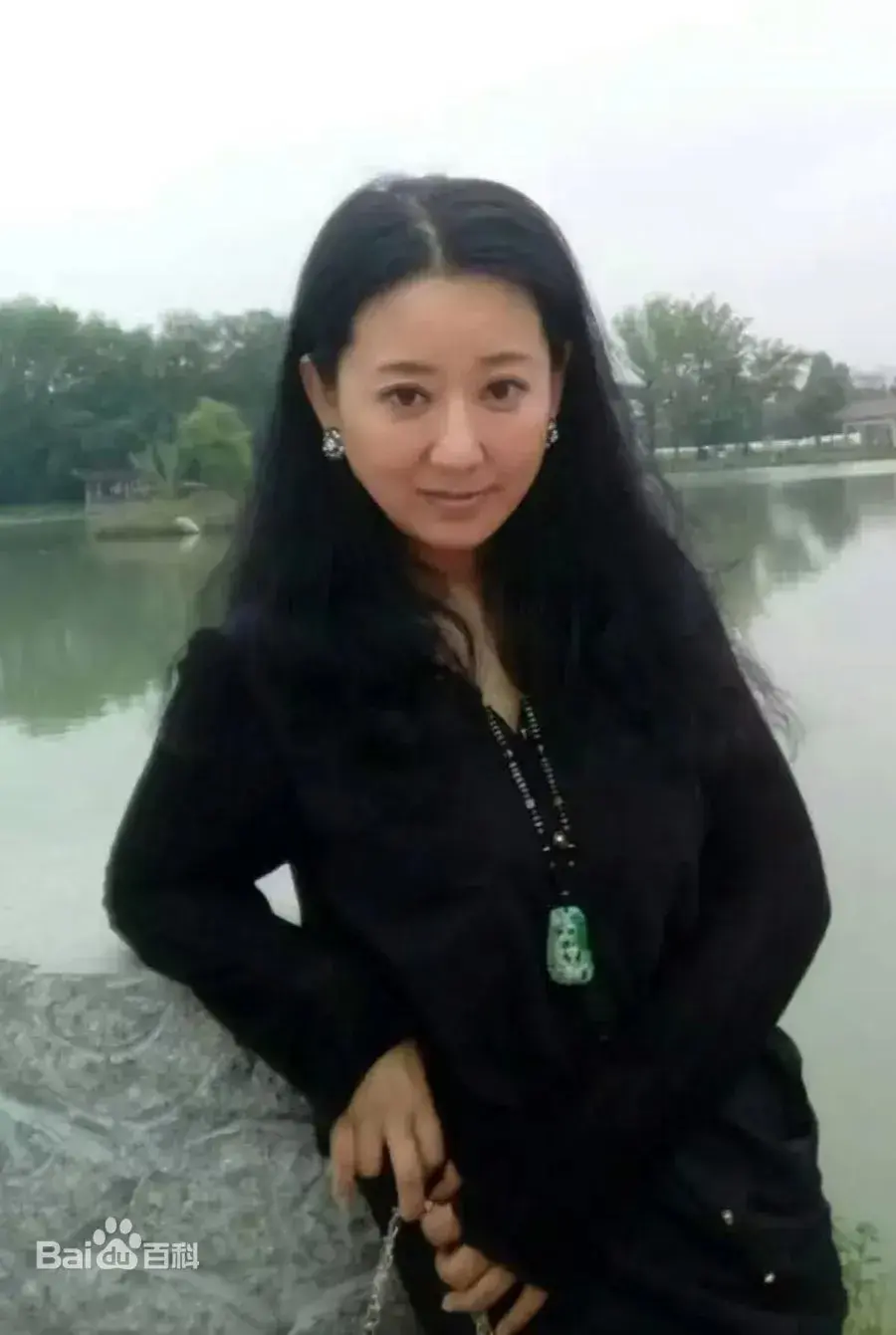 بیوگرافی Li Lu Jin