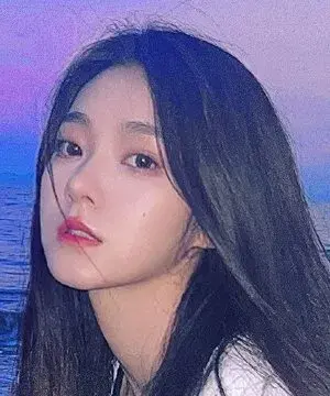بیوگرافی Li Bing Bing