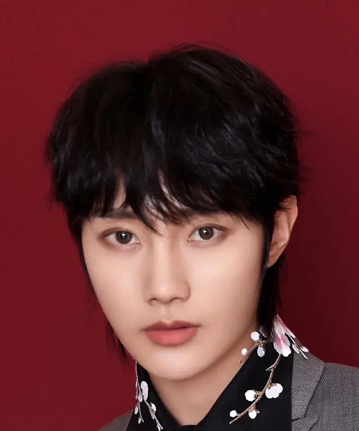 بیوگرافی Liu Ye