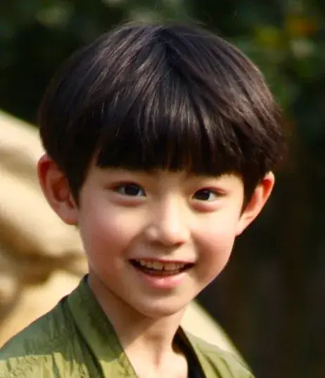 بیوگرافی Wang Yi Kun