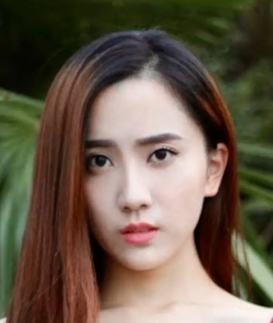بیوگرافی Bai Lan