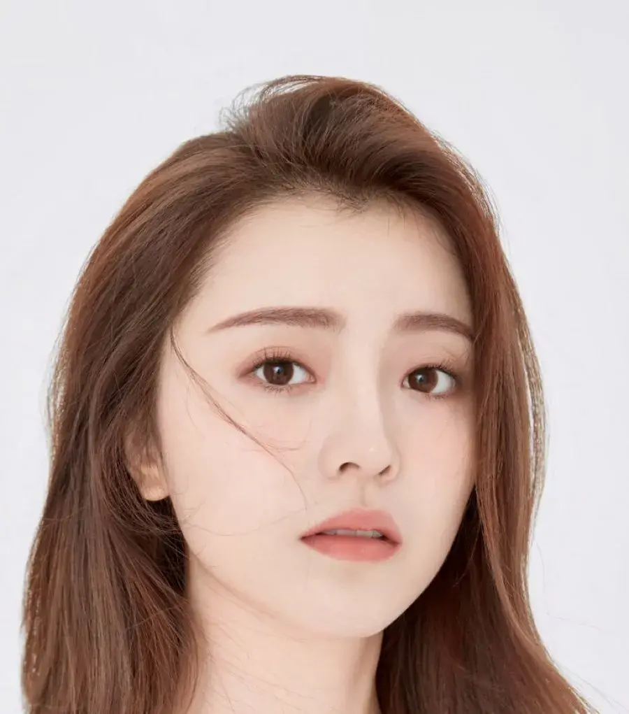 بیوگرافی Li Xi Meng