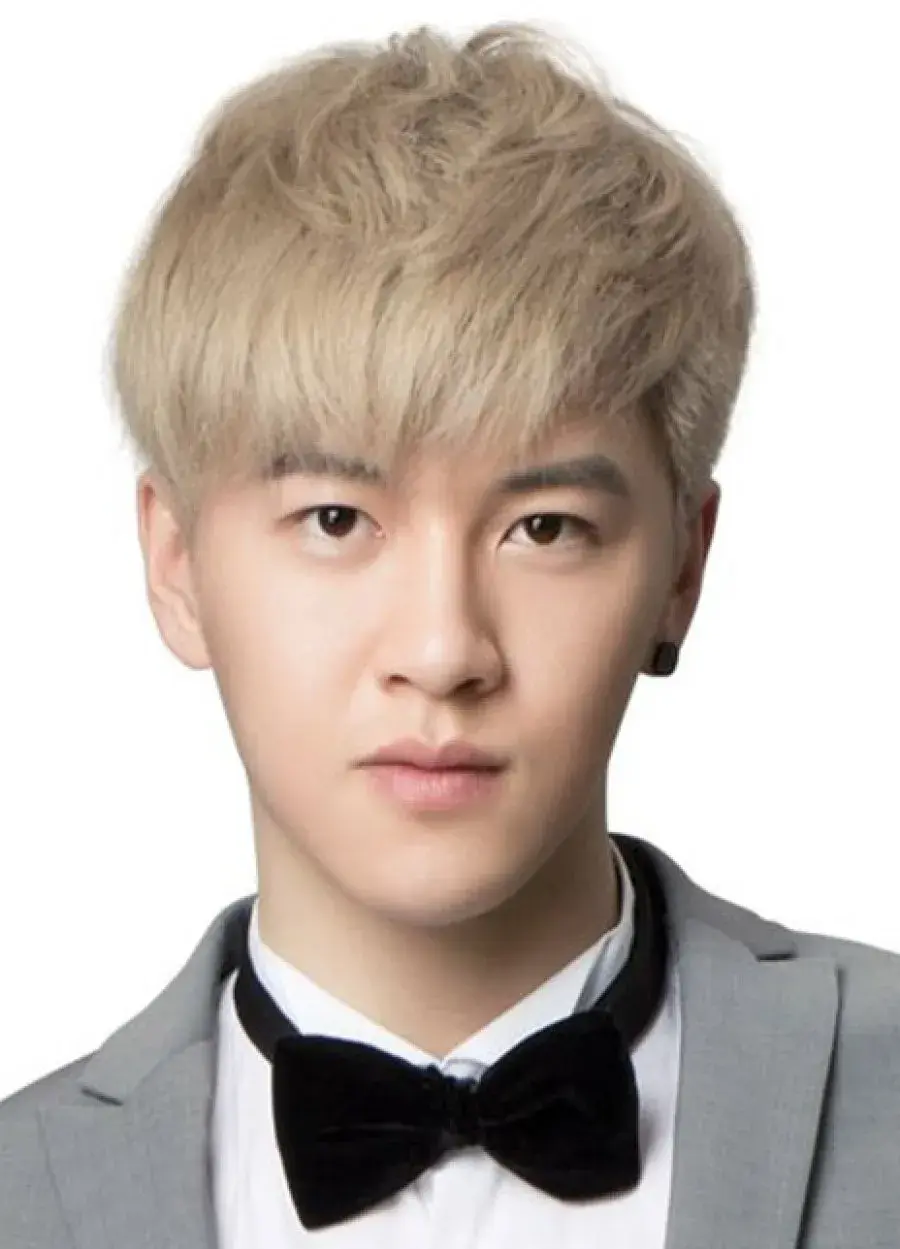 بیوگرافی Wang Zu Huai