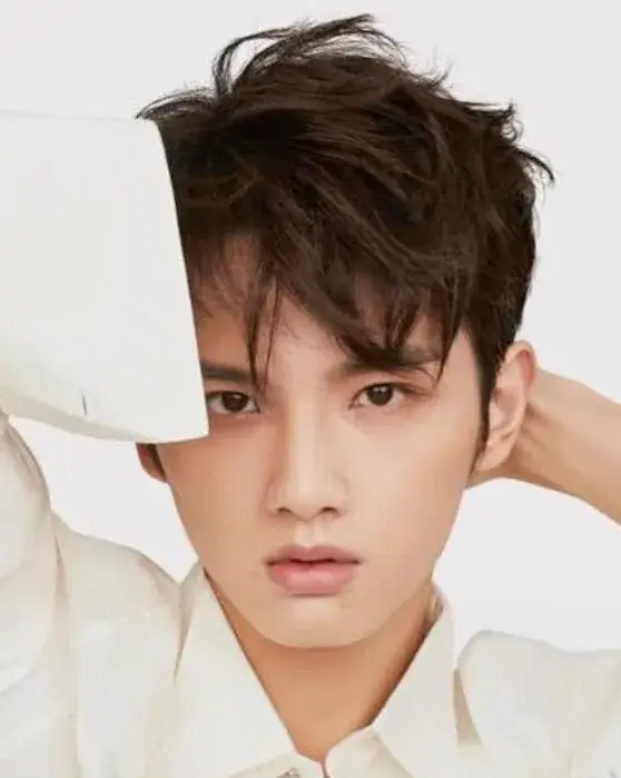 بیوگرافی Ye Sheng Jia