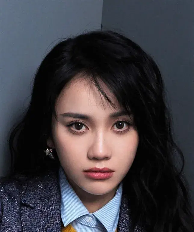 بیوگرافی Lin Bo Yang