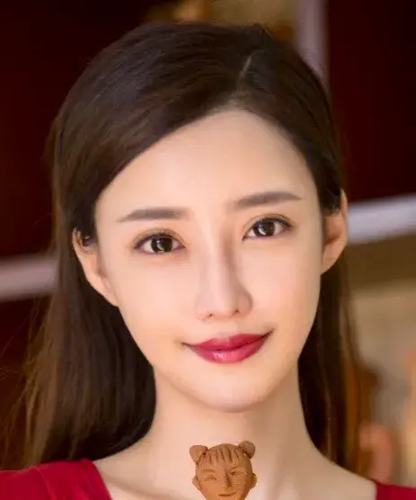 بیوگرافی Liu Fan Fei