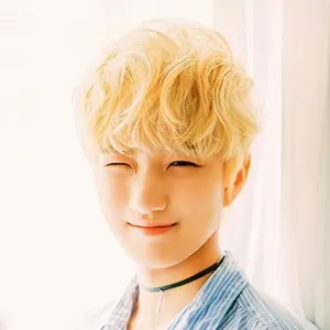 Shin Woo Chul