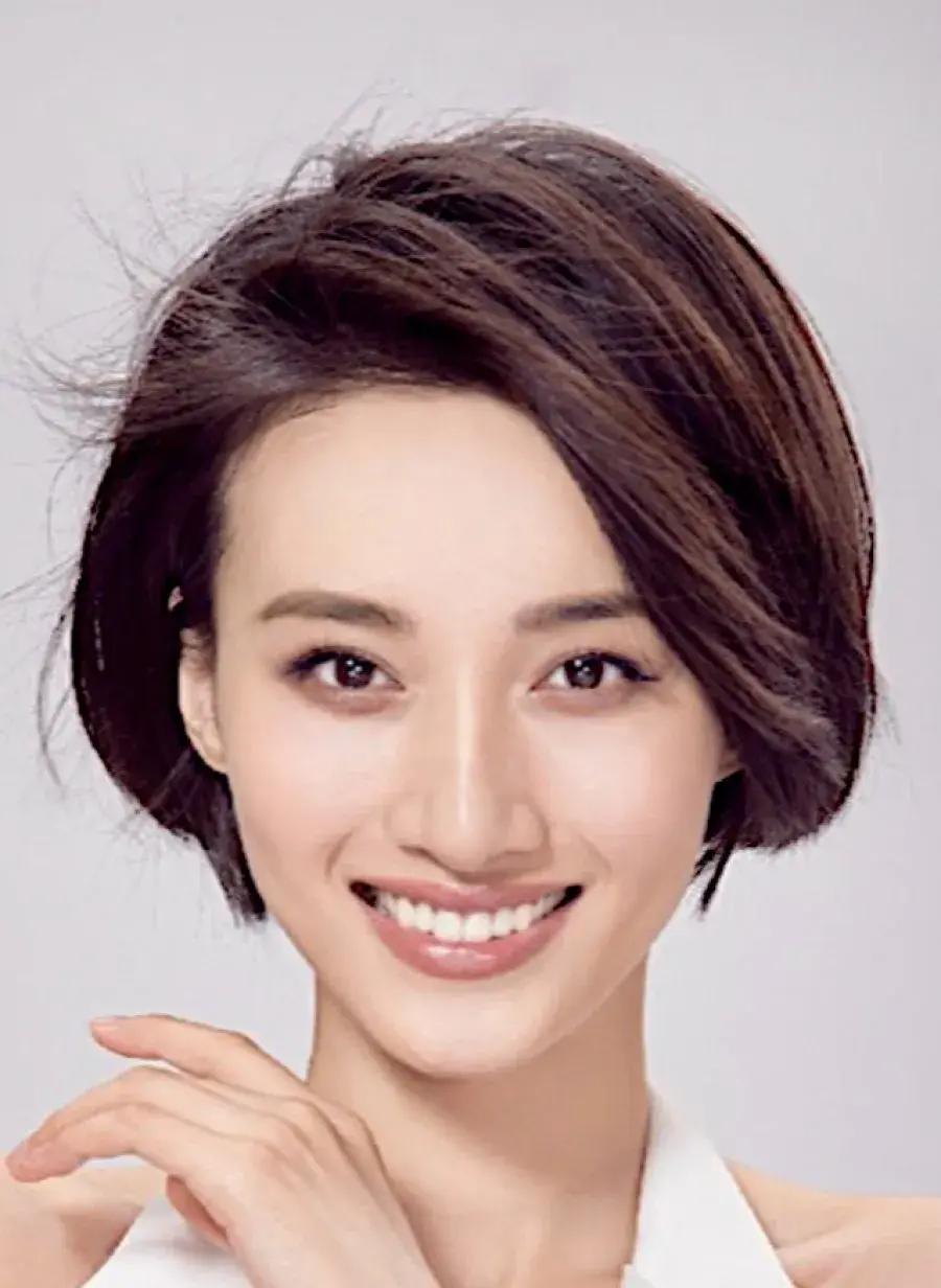 بیوگرافی Feng Wen Juan