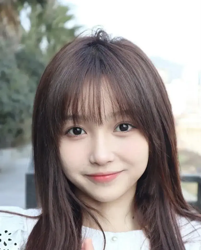 بیوگرافی Wang Han