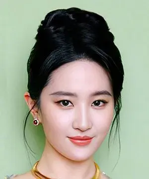 بیوگرافی An Feng