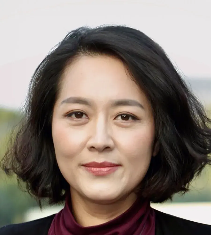 بیوگرافی Li Mei