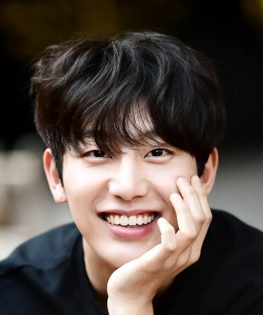 بیوگرافی Choe Chan Yi