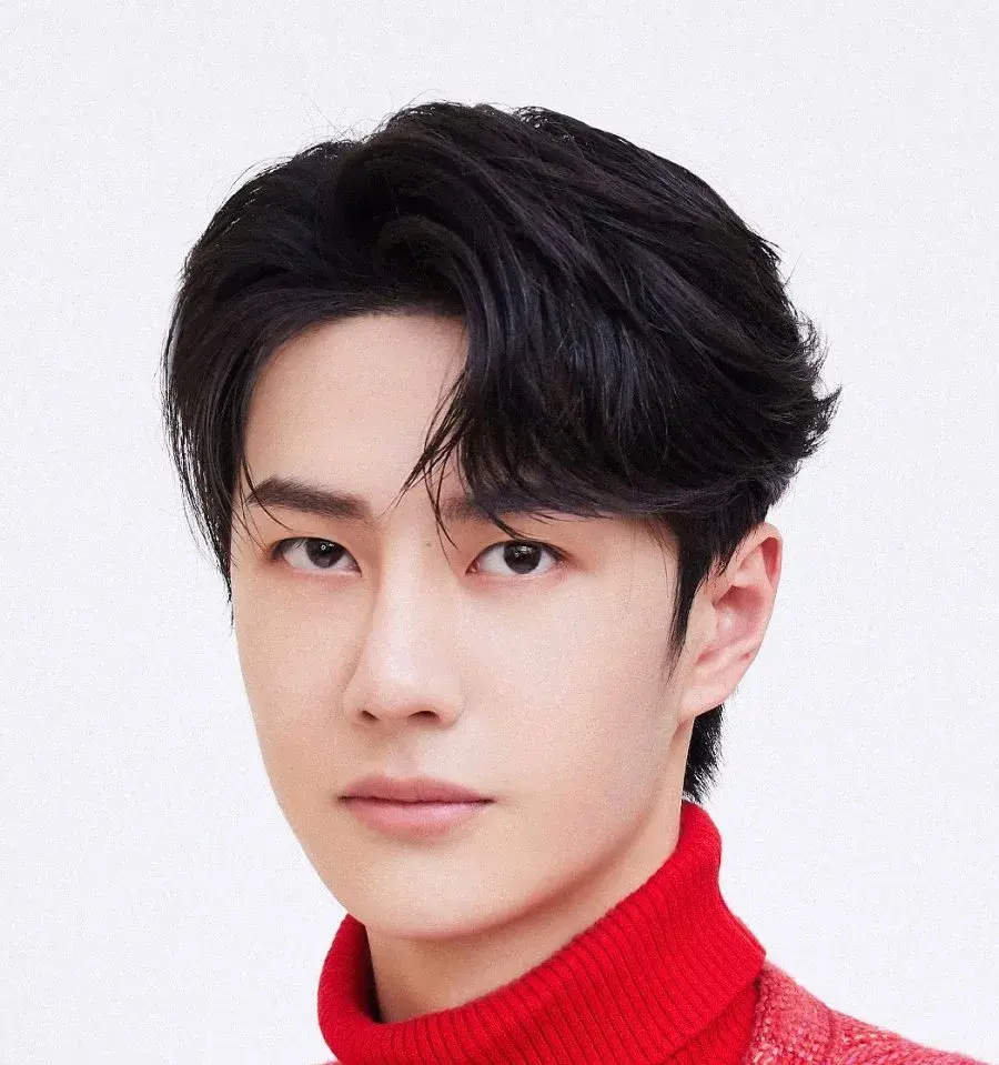 بیوگرافی Wang Yi Bo