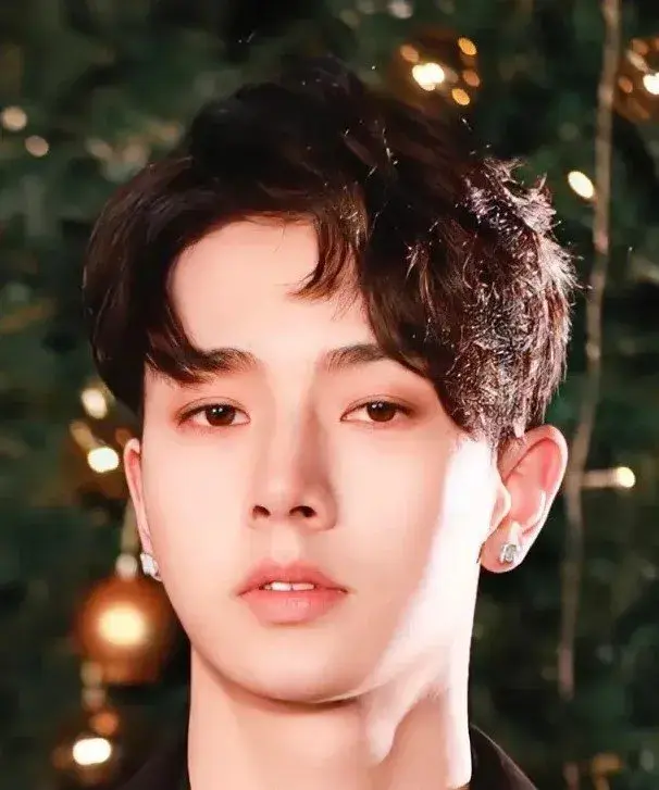 بیوگرافی Li Fei