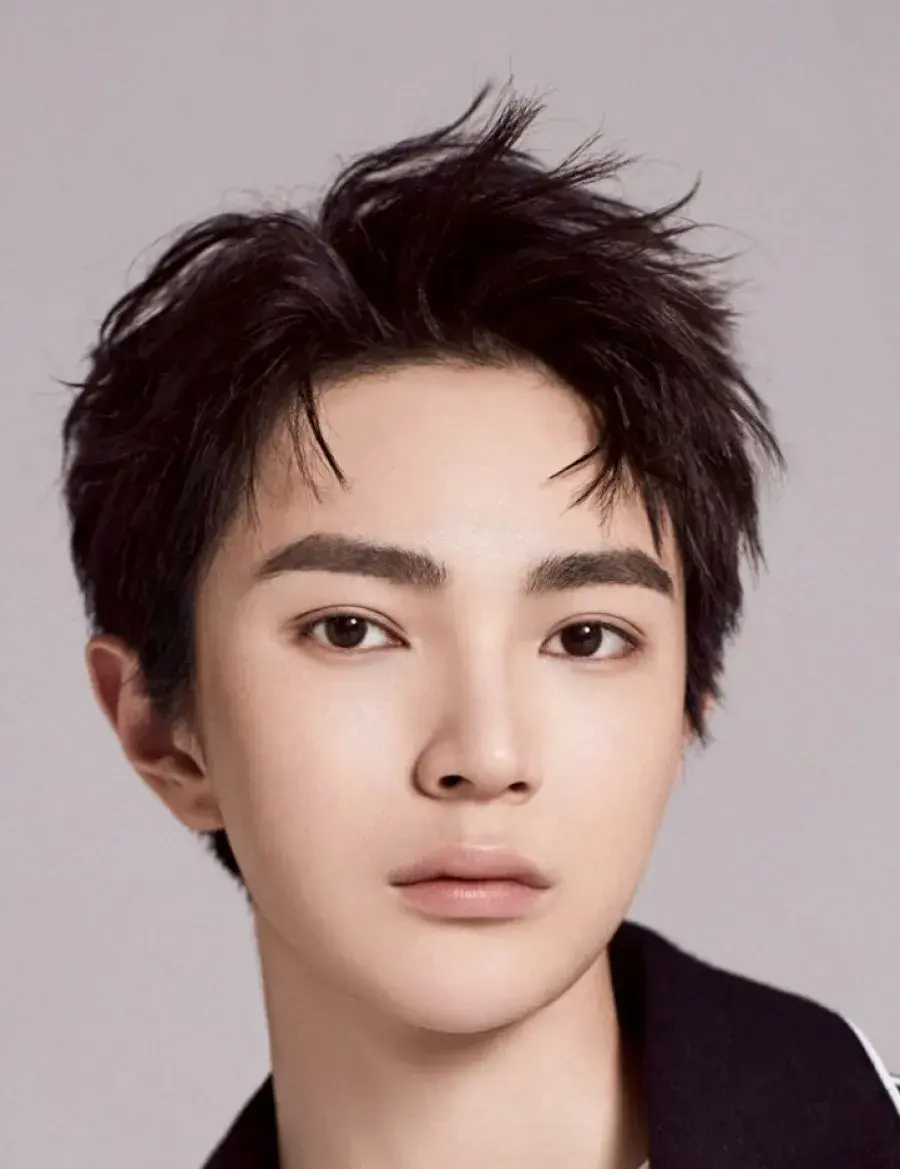 بیوگرافی Wang Shu Yi