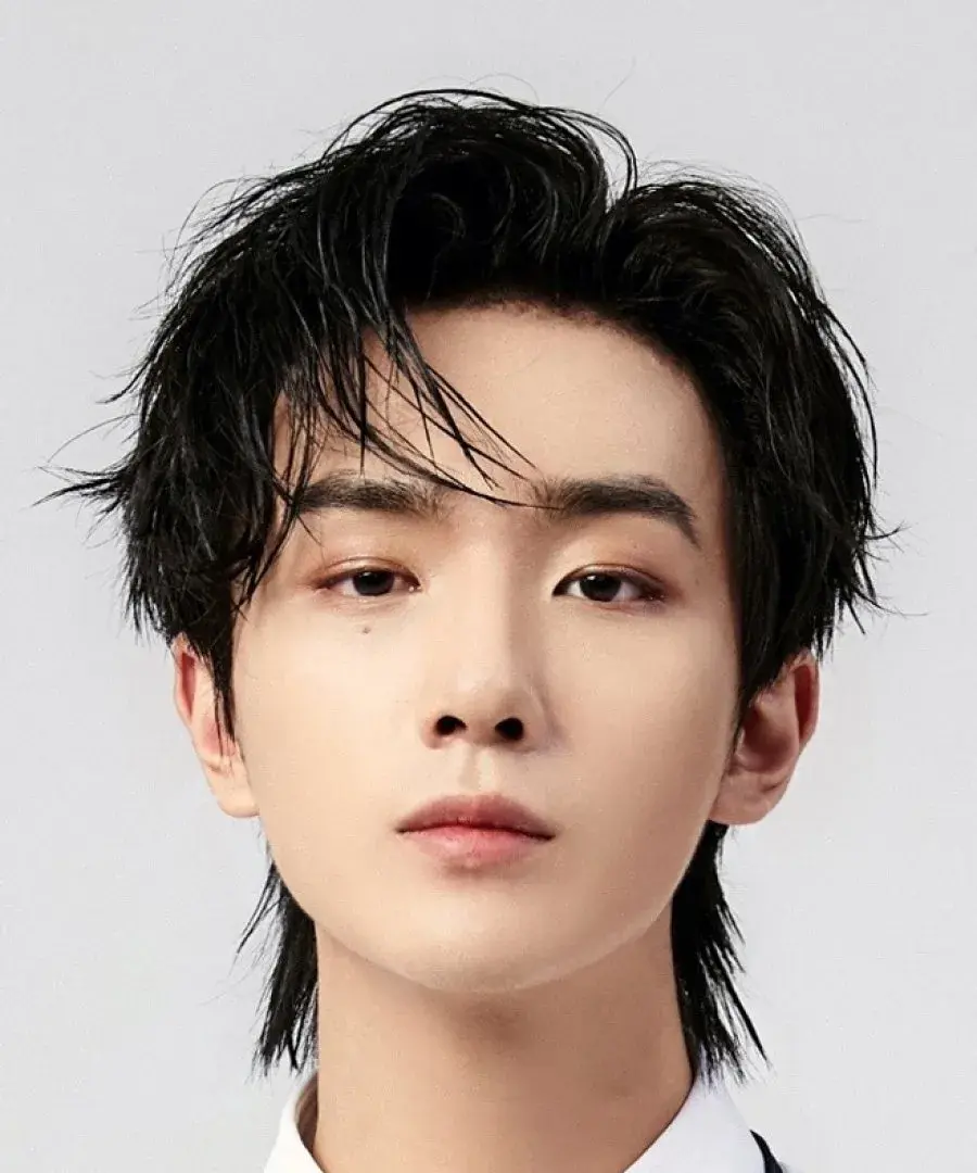 بیوگرافی Li Hong Yi