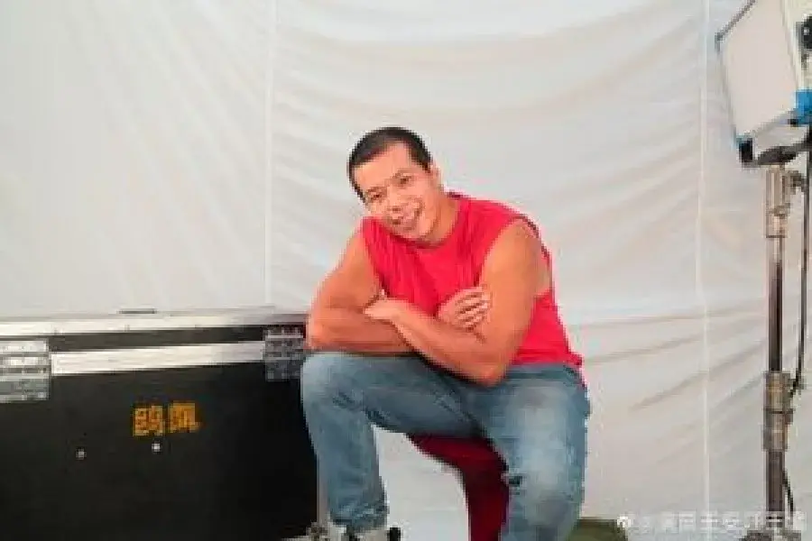 بیوگرافی Wang An Jiang