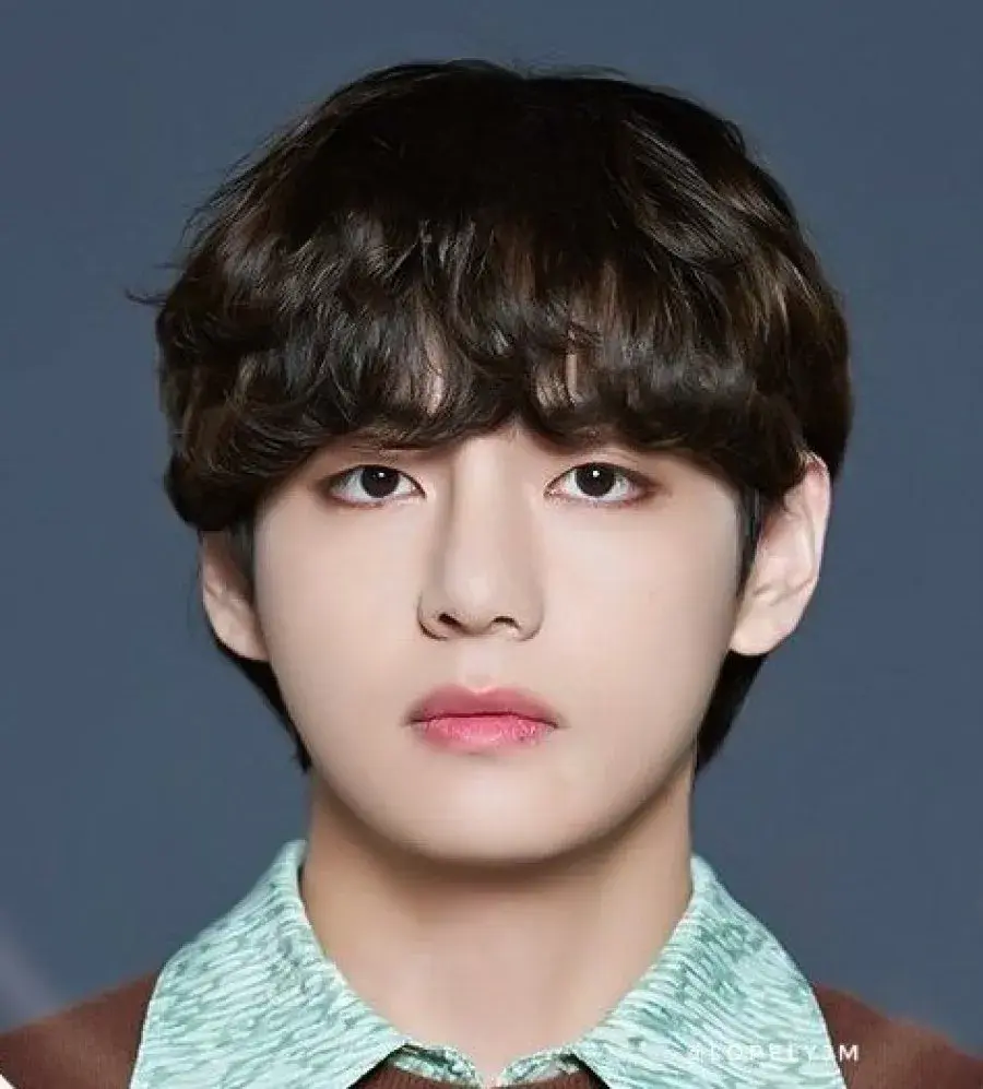 بیوگرافی Kim Tae Hyung