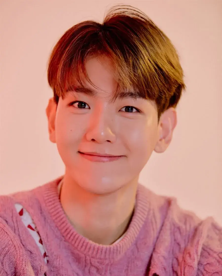 بیوگرافی Byun Baek Hyun