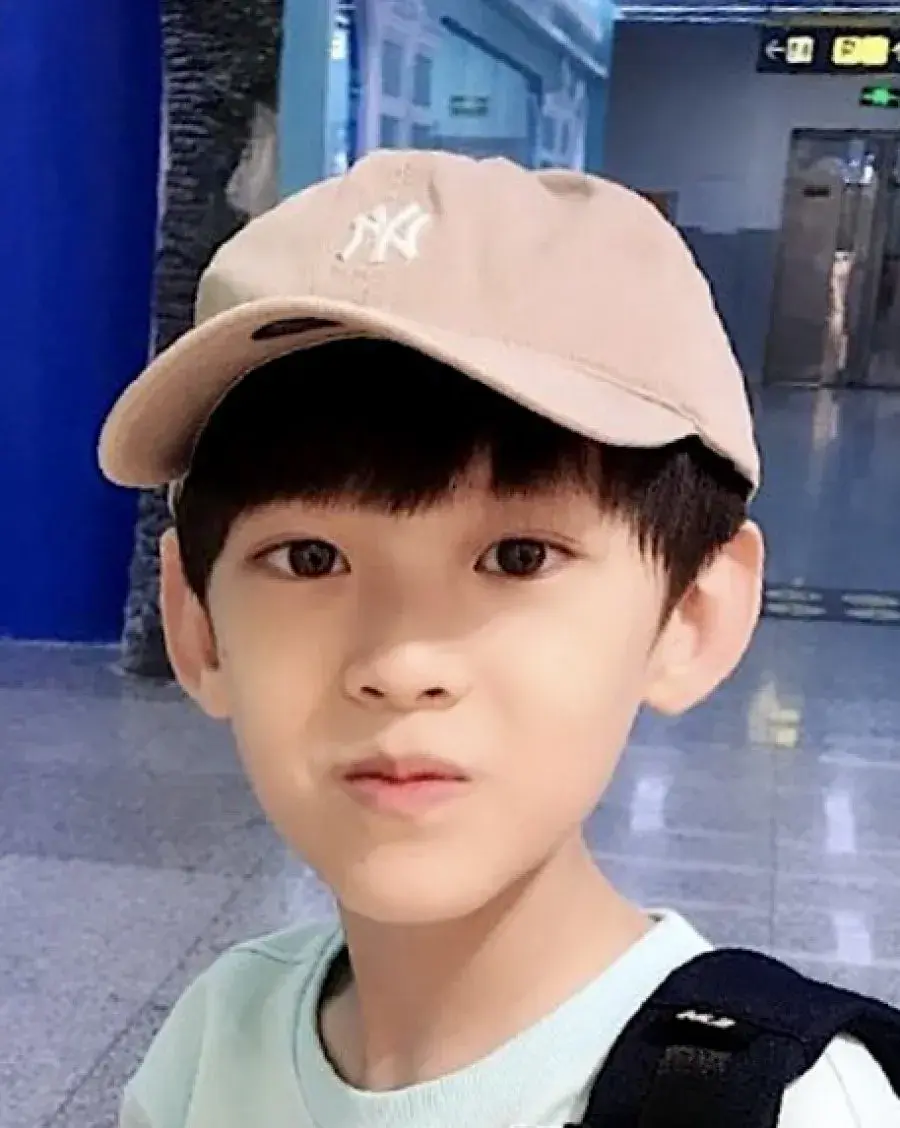 بیوگرافی Gao Lin Yu