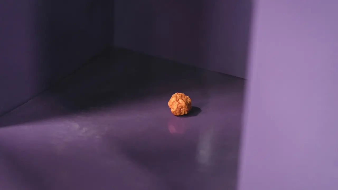 ناگت مرغ با زیرنویس فارسی