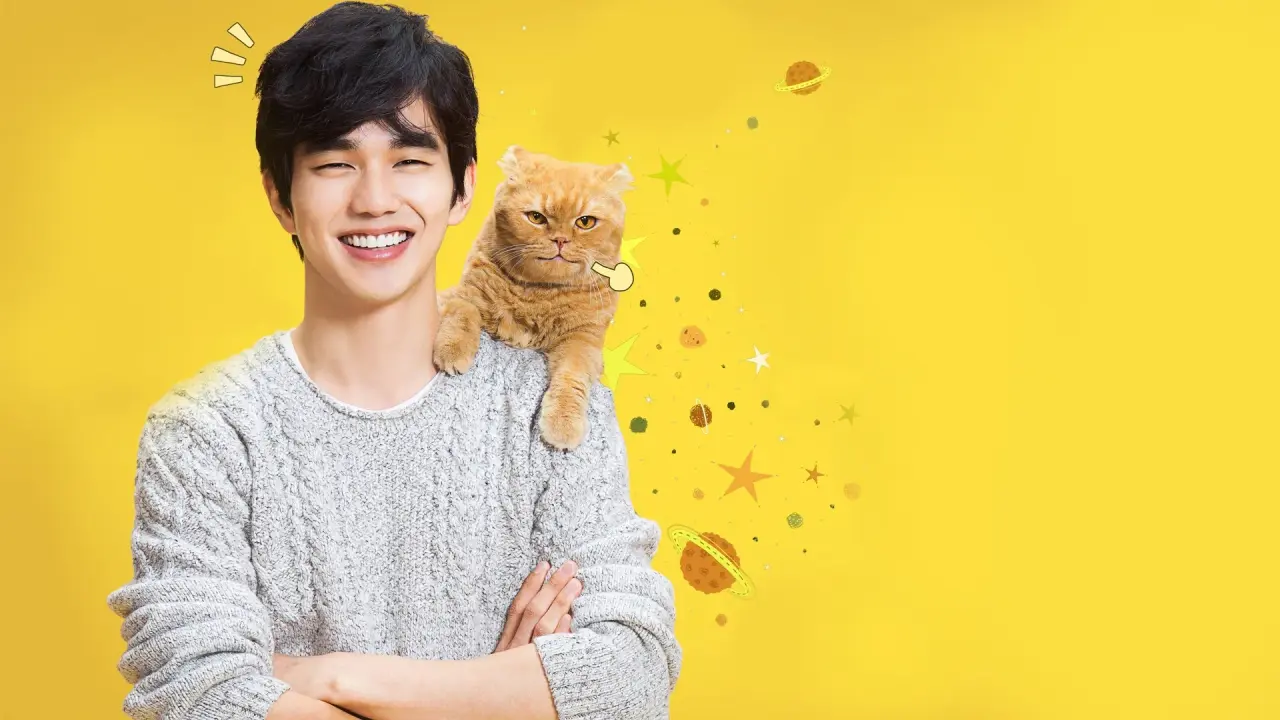 گربه خیالی با زیرنویس فارسی